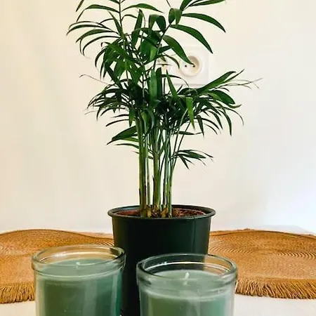 Magnifique T2 Proche Et Refait à Neuf Avec Terrasse * Menton