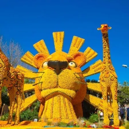 Magnifique T2 Proche Et Refait à Neuf Avec Terrasse Appartement *