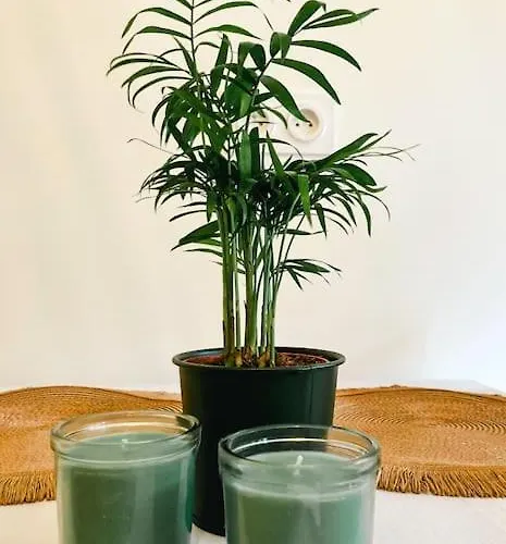 Magnifique T2 Proche Et Refait A Neuf Avec Terrasse * 멍똥